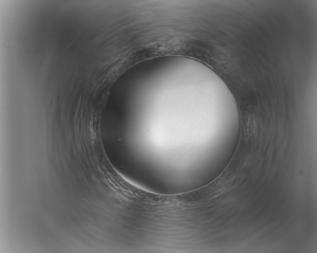 X0000056361250200509091613