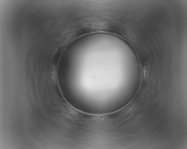 X0000056361251200509091613