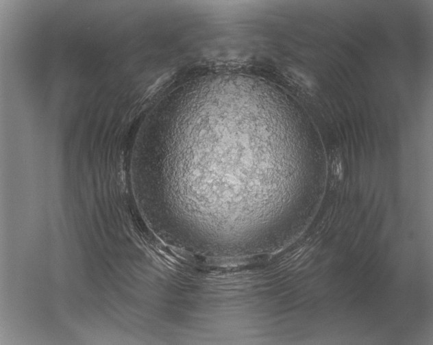 X0000056361252200509091613