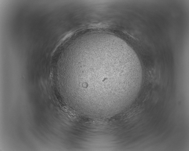 X0000056361254200509091613