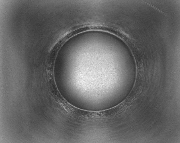 X0000056361255200509091613