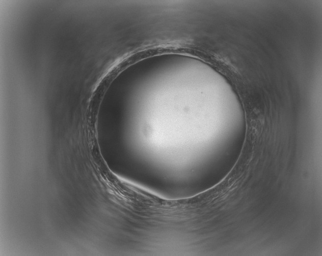 X0000056361256200509091613