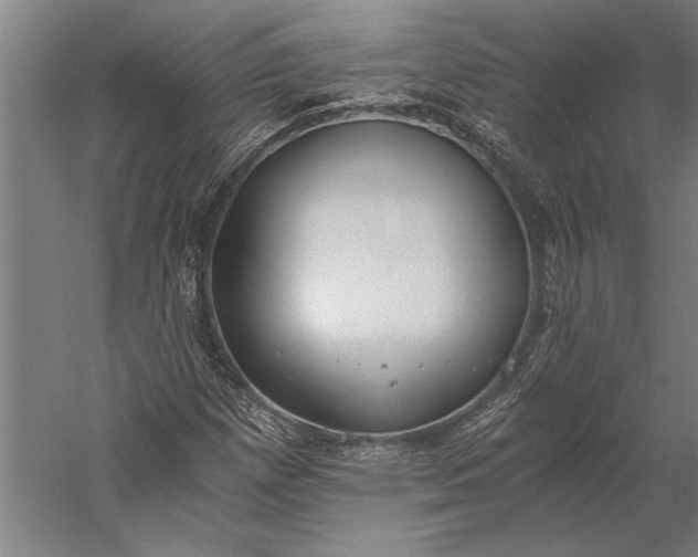 X0000056361257200509091613