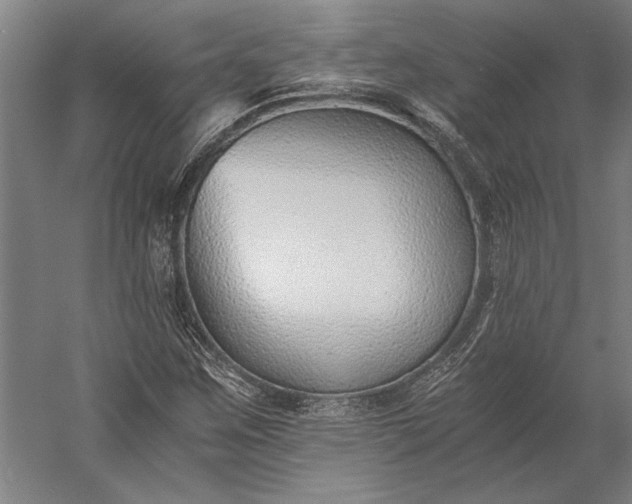 X0000056361259200509091613