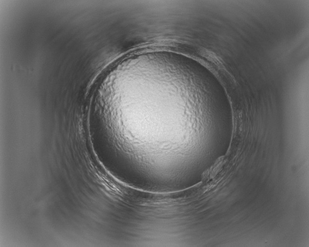 X0000056361260200509091613