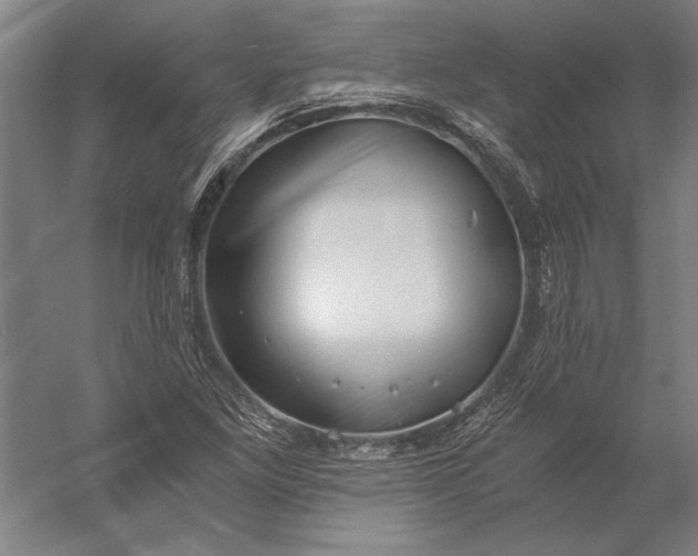 X0000056361261200509091613