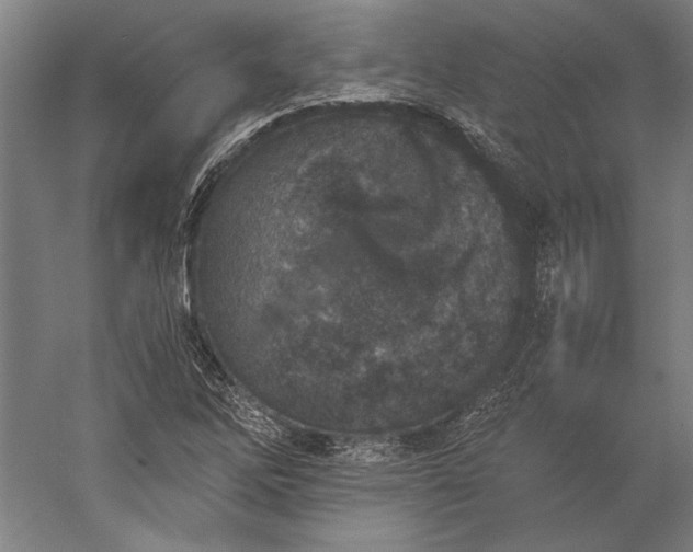 X0000056361262200509091613