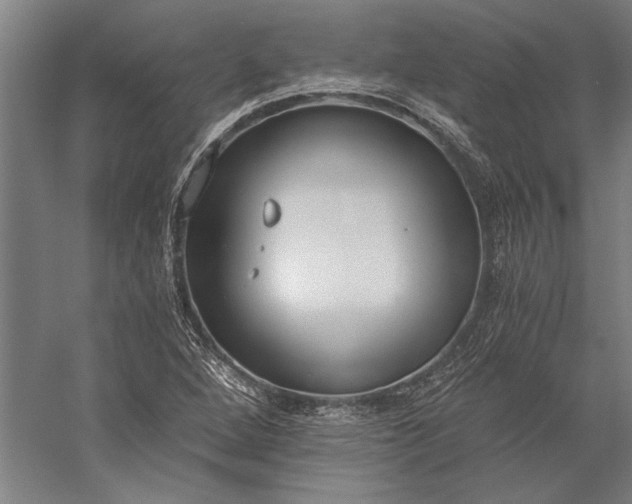 X0000056361264200509091613