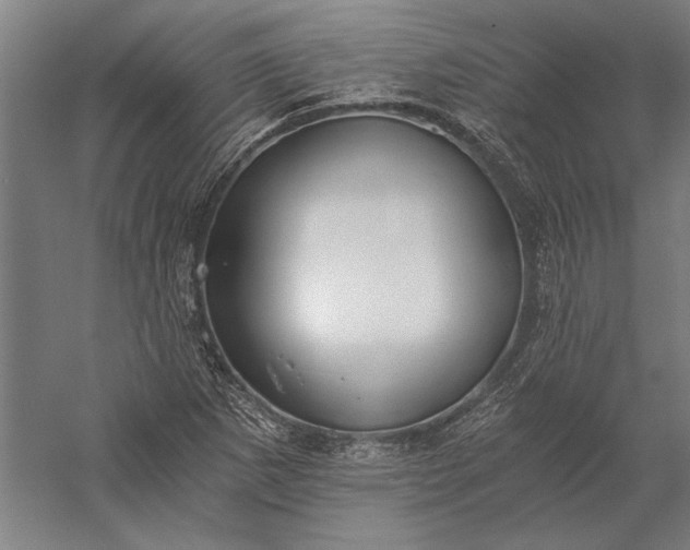 X0000056361265200509091613