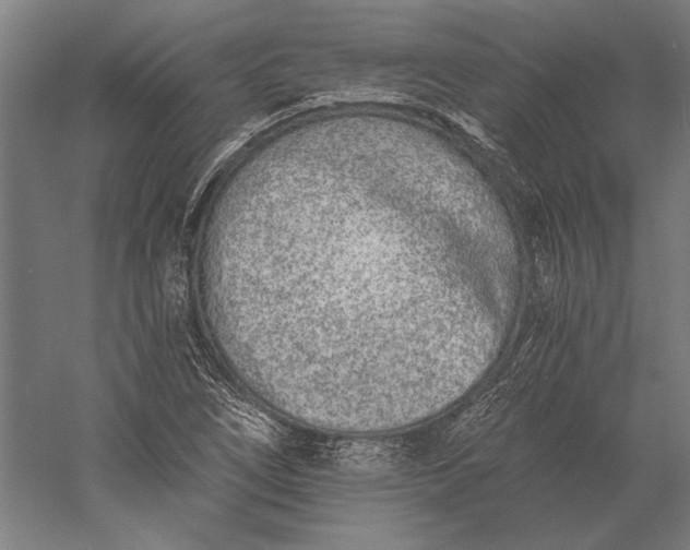 X0000056361266200509091613