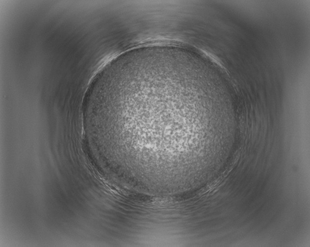 X0000056361267200509091613