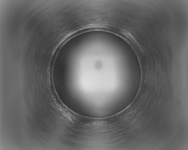 X0000056361268200509091613