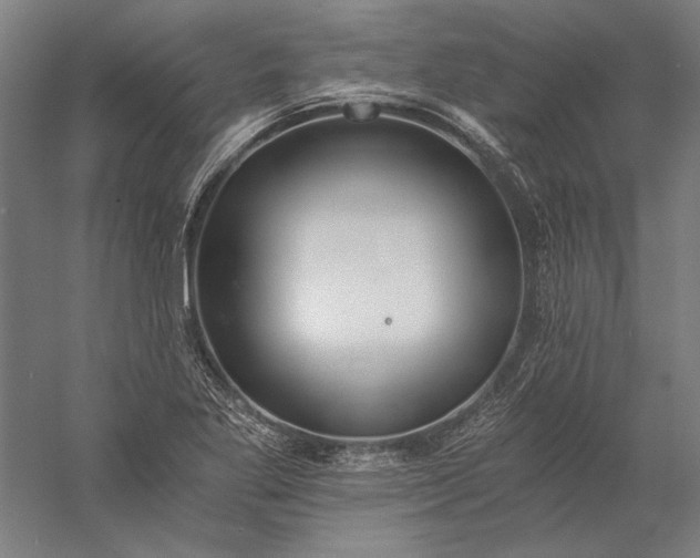 X0000056361269200509091613