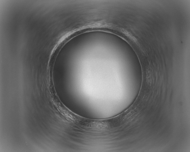 X0000056361270200509091613