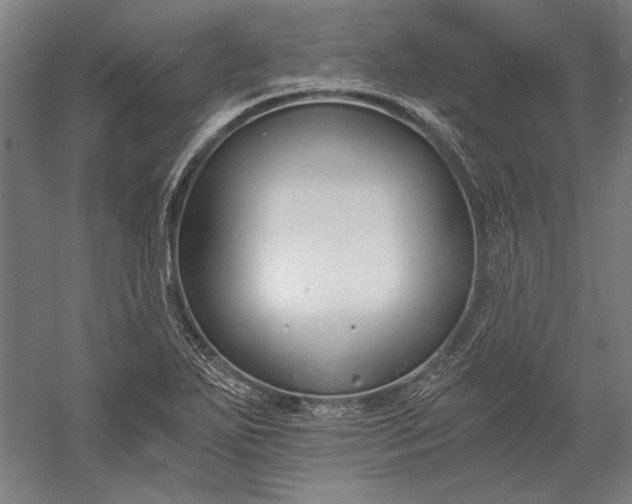 X0000056361271200509091613