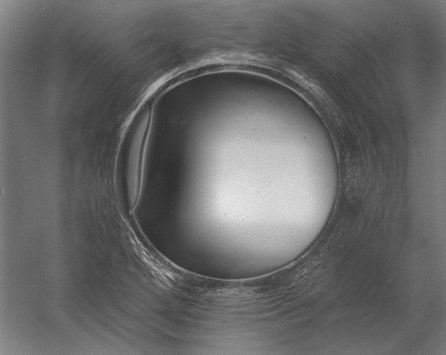 X0000056361272200509091613