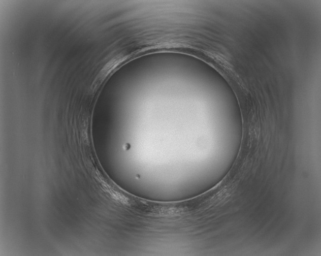 X0000056361273200509091613