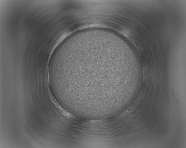 X0000056361274200509091613