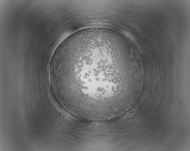 X0000056361275200509091613