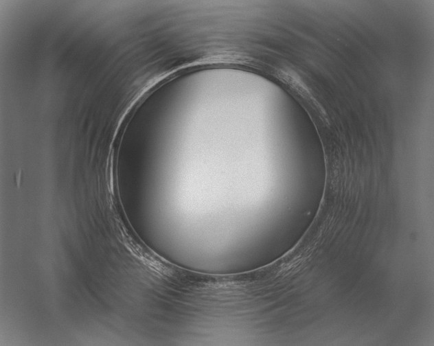 X0000056361276200509091613