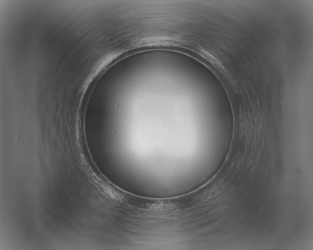 X0000056361277200509091613