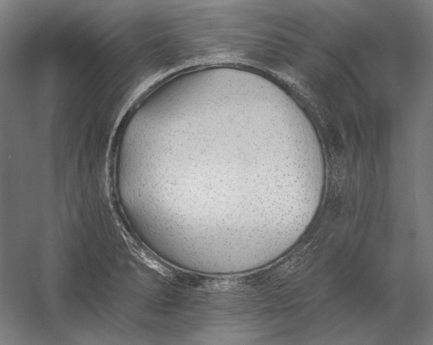 X0000056361278200509091613