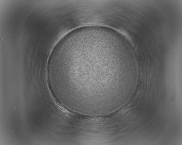 X0000056361279200509091613