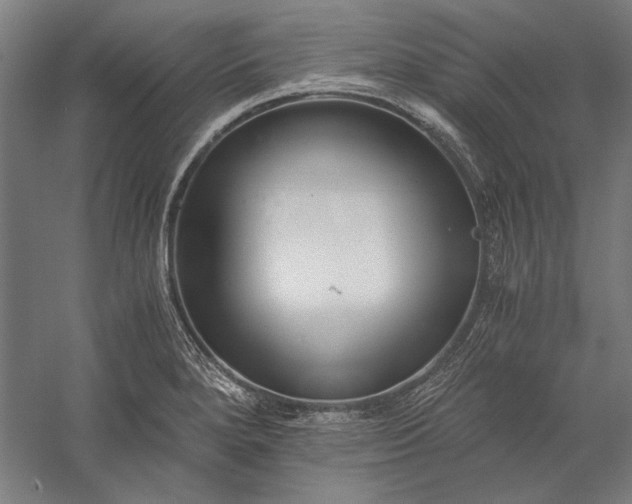 X0000056361280200509091613