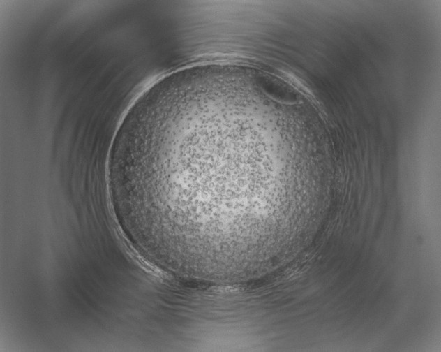 X0000056361283200509091613