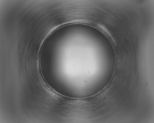 X0000056361284200509091613