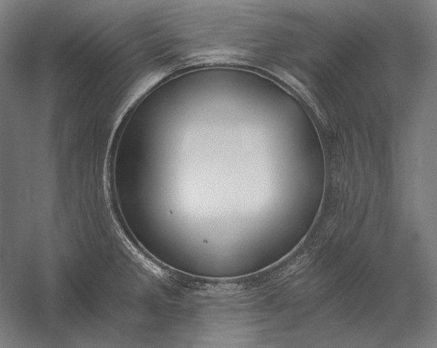 X0000056361285200509091613