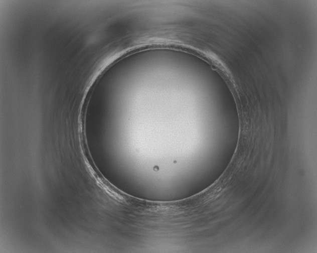 X0000056361287200509091613