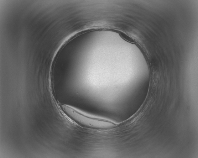 X0000056361288200509091613