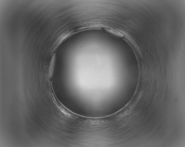 X0000056361289200509091613