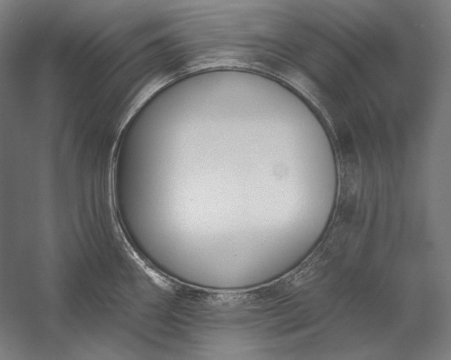 X0000056361290200509091613