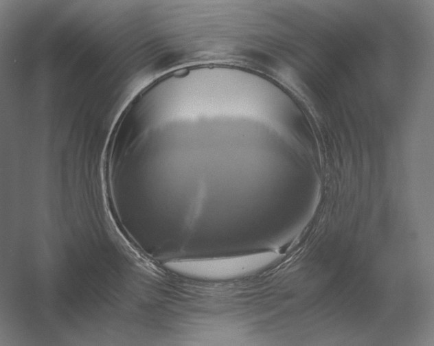 X0000056361291200509091613