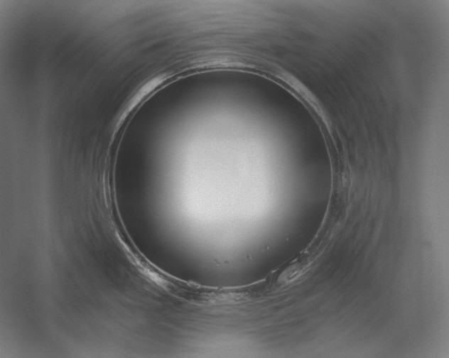 X0000056361293200509091613