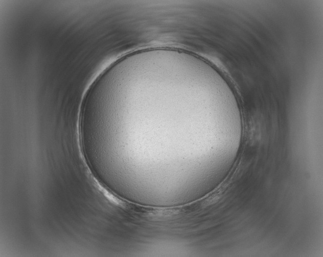 X0000056361294200509091613