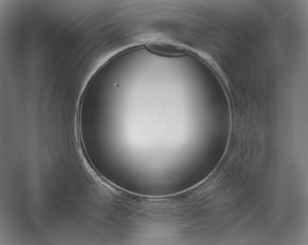 X0000056361295200509091613