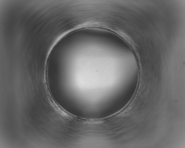 X0000056361296200509091613