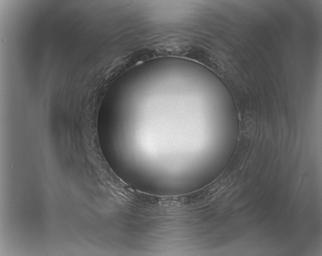 X0000056361297200509091612