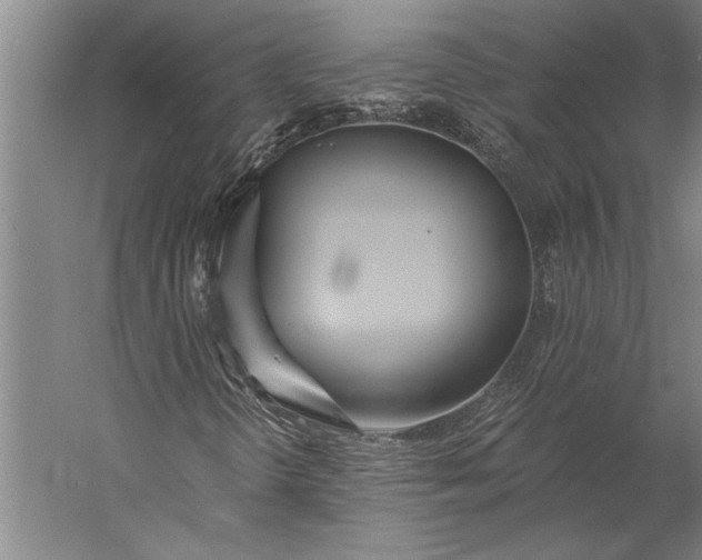 X0000056361298200509091612