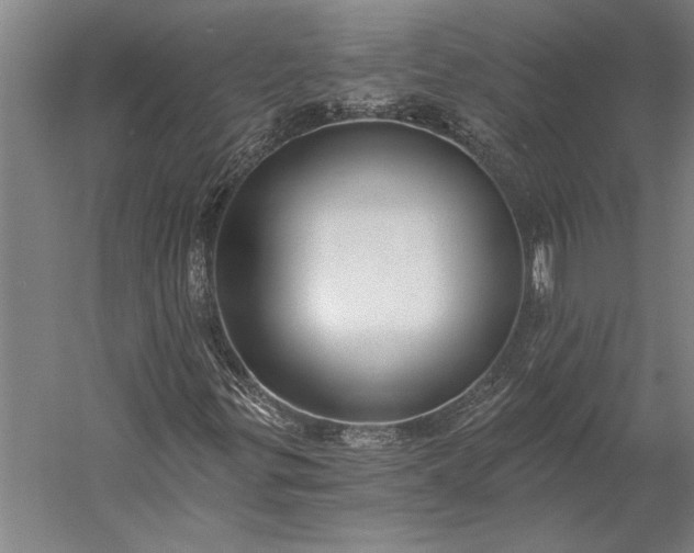 X0000056361299200509091612