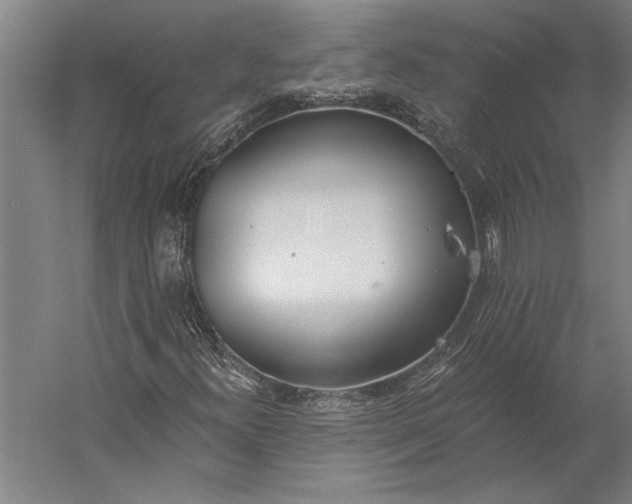 X0000056361300200509091612