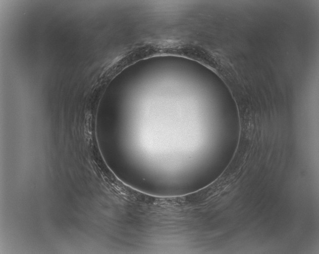 X0000056361301200509091612