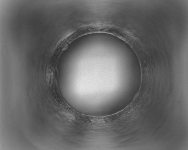 X0000056361302200509091612