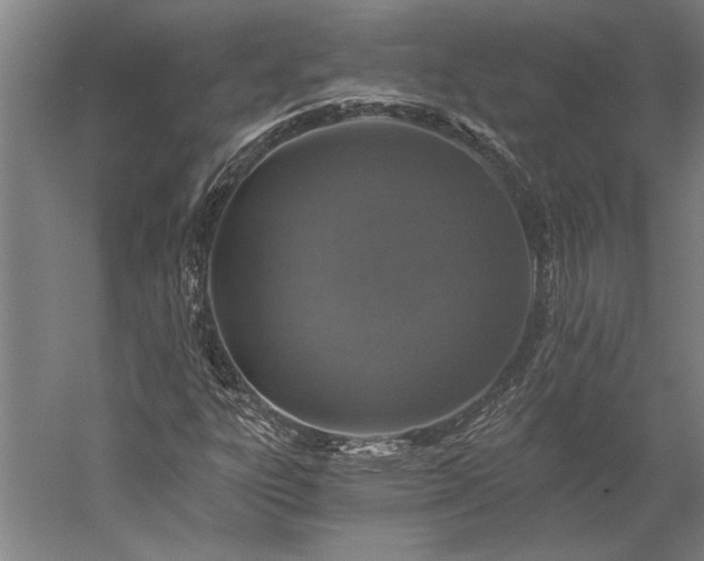 X0000056361303200509091612