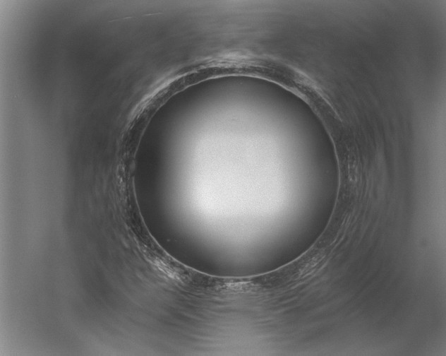 X0000056361304200509091612