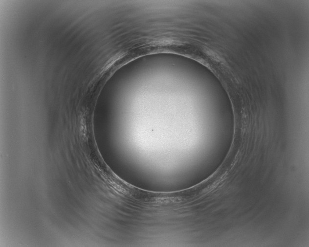 X0000056361305200509091612