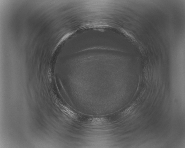 X0000056361306200509091612